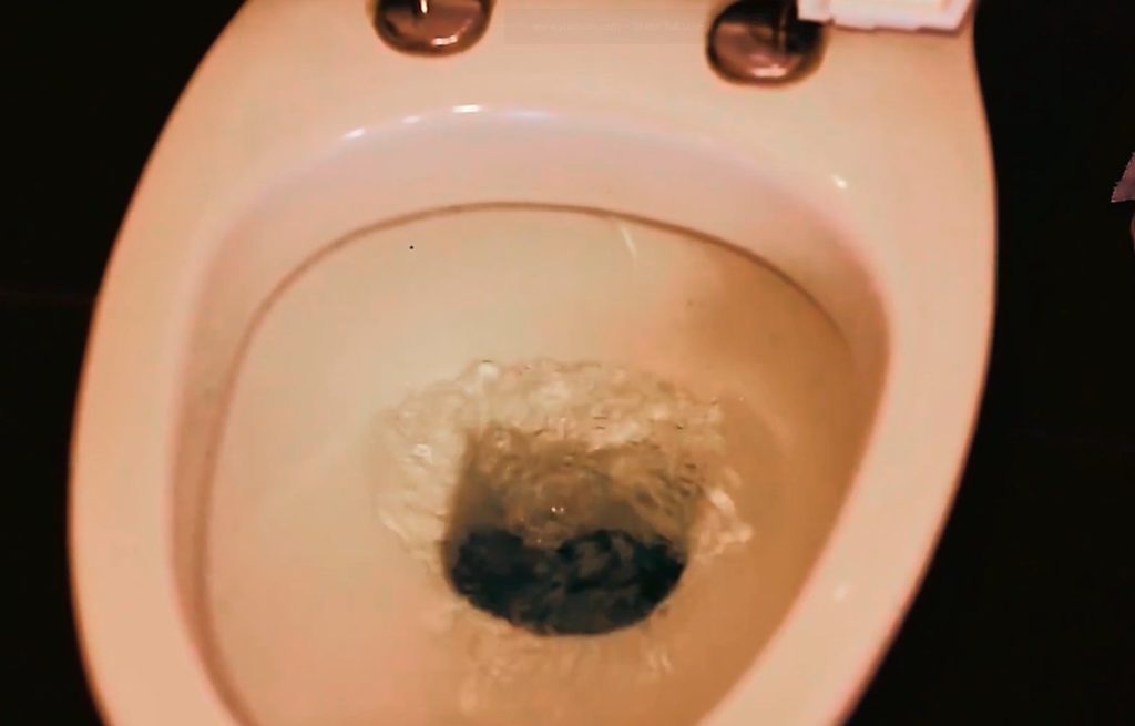 Gravity Flush System