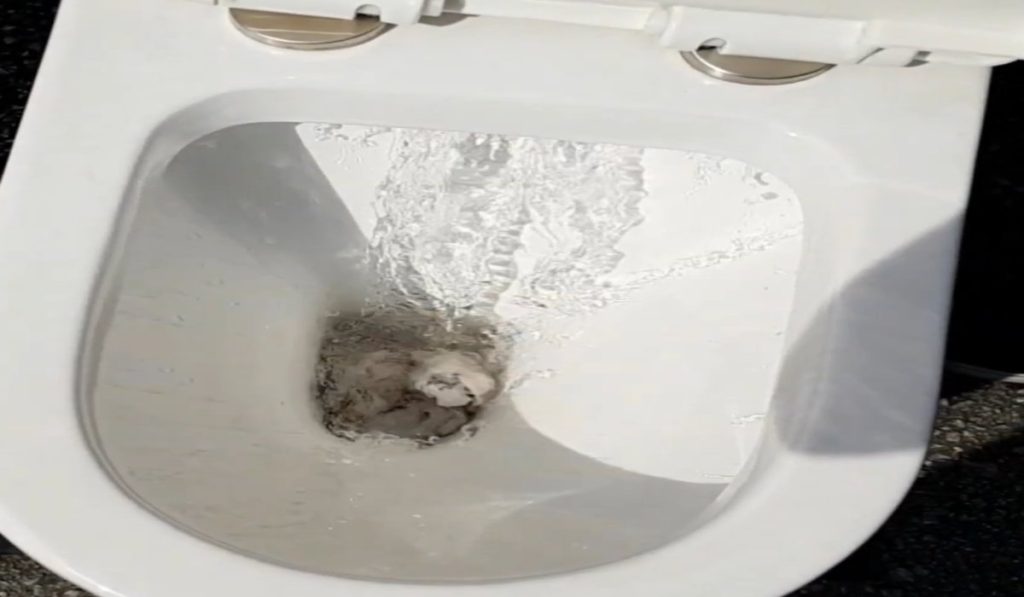Washdown Flush System