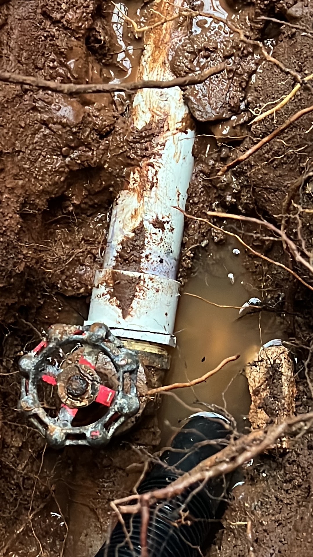 Plumbing project work